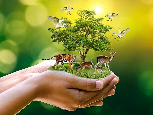Zoology Image 1