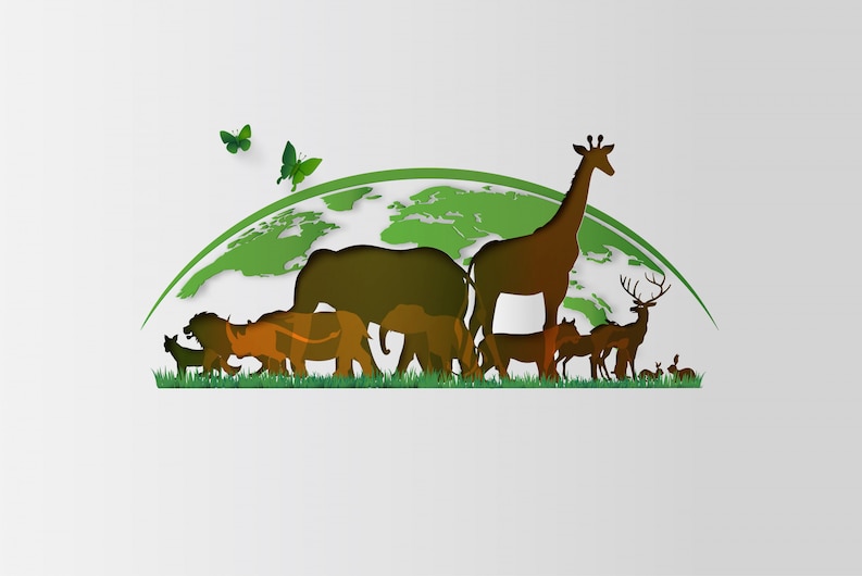 Zoology Image 2